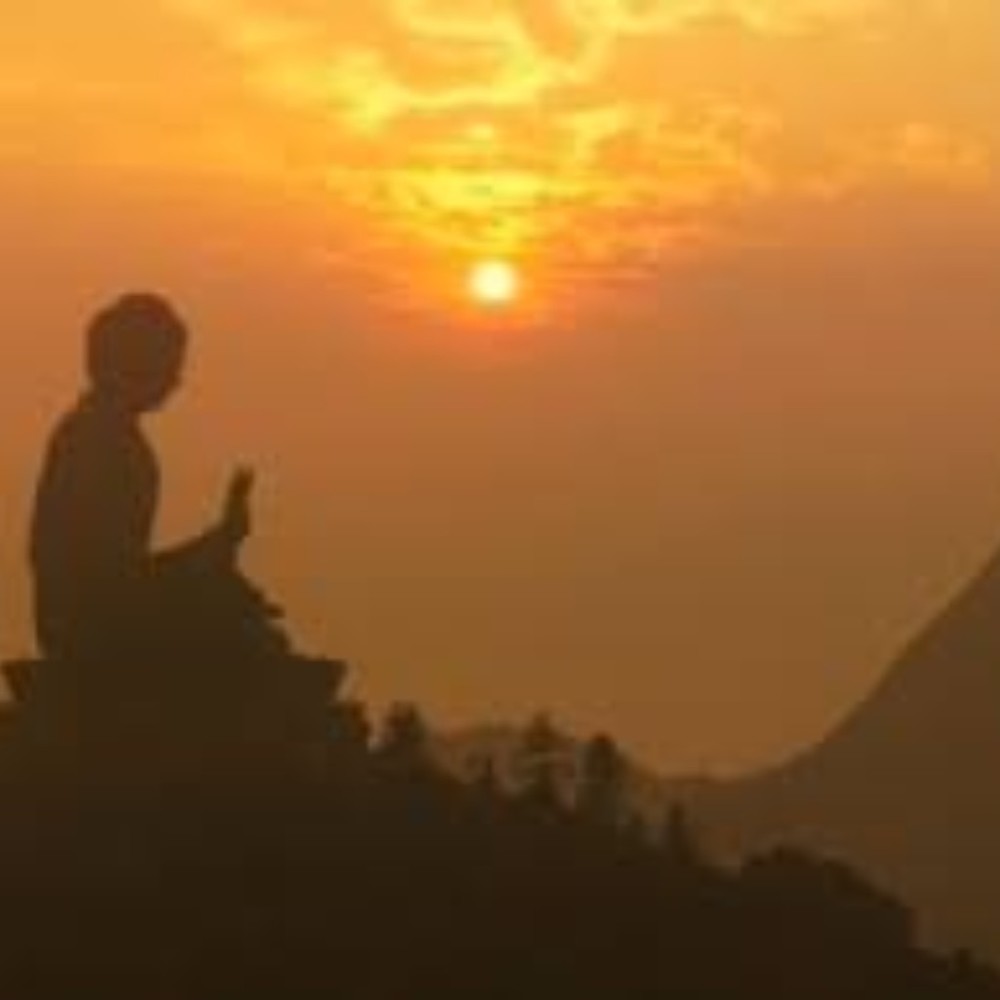 Meet your Posher, Viv